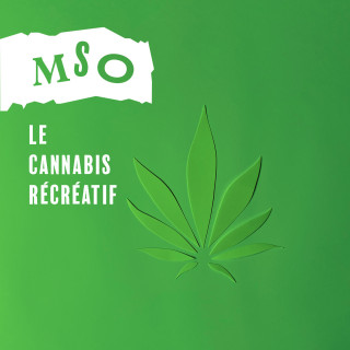 Le cannabis récréatif