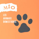 Les animaux domestiques
